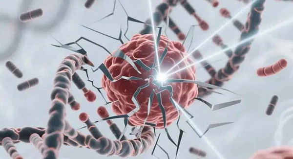 微信图片_20251124144200.jpg 微信图片_20251124144200.jpg